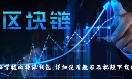 全面掌握比特派钱包:详细使用教程及视频下载指南