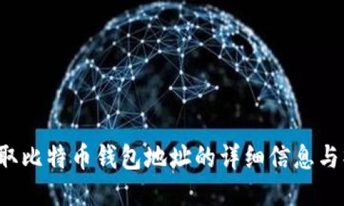 如何获取比特币钱包地址的详细信息与操作指南