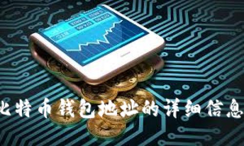 如何获取比特币钱包地址的详细信息与操作指南