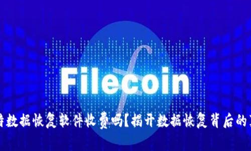 比特数据恢复软件收费吗?揭开数据恢复背后的真相