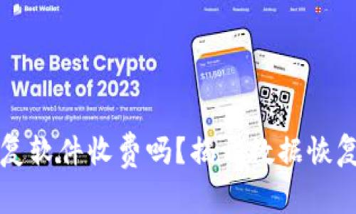 比特数据恢复软件收费吗?揭开数据恢复背后的真相