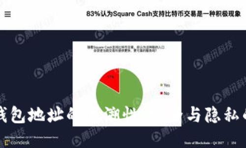 比特币钱包地址的追溯性：安全与隐私的双刃剑