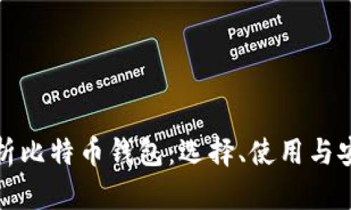全面解析比特币钱包：选择、使用与安全策略