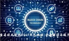 如何查看项目方的USDT钱包