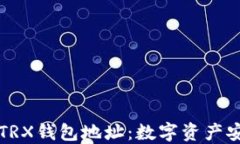 深入了解TRX钱包地址：数