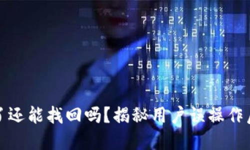 比特派转错了还能找回吗？揭秘用户误操作后的补救措施