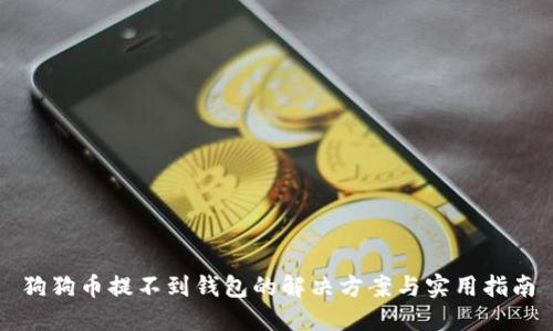 狗狗币提不到钱包的解决方案与实用指南
