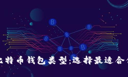 : 全面解析比特币钱包类型：选择最适合你的钱包方法