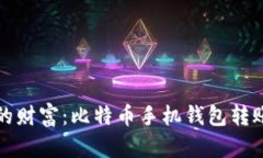 掌控你的财富：比特币手