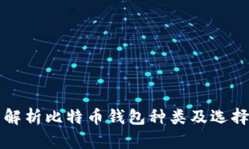 全面解析比特币钱包种类及选择指南