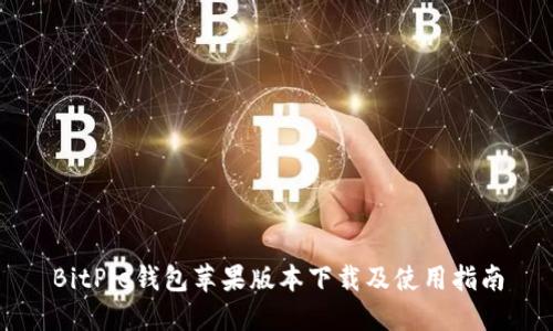 BitPie钱包苹果版本下载及使用指南