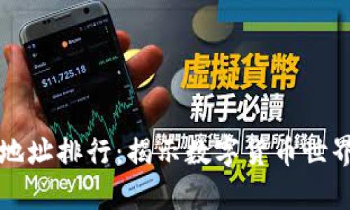 比特币钱包地址排行：揭示数字货币世界的财富秘密
