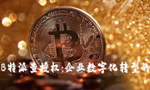深入解析B特派查授权：企业数字化转型的助力之道