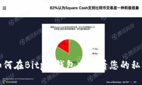 如何在Bitpie钱包中查看您的私钥