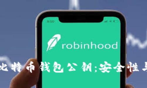 深入探讨比特币钱包公钥：安全性与使用技巧